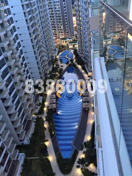 A Treasure Trove (D19), Condominium #71108011